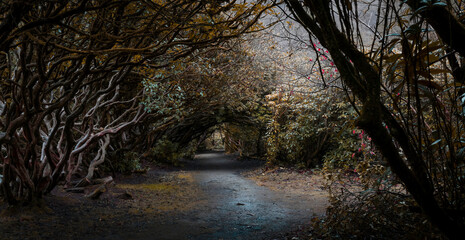 Craig y Nos Country park