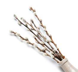 Vase with pussy willow branches isolated on white background © Pixel-Shot
