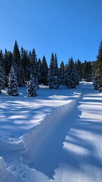 Sci di fondo nordico sulla pista, Passo Coe, Folgaria, Trentino