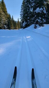 Sci di fondo nordico sulla pista, Passo Coe, Folgaria, Trentino