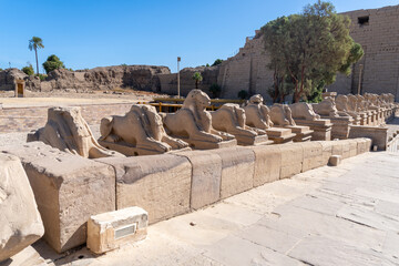 Goat-headed sphinxes at the entrance to the Karnak Temple in Luxor on a sunny day.