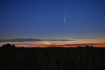 comet Neowise in the evening sky. 