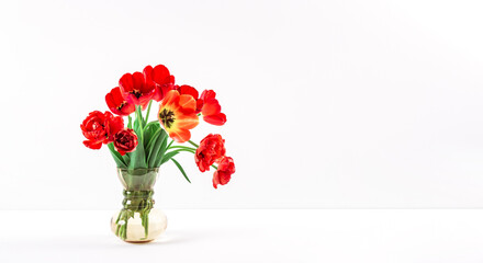 Big flowers bouquet of red tulips in vintage glass vase on white background. Copy space. Business card. Invitation postcard. Place for greeting text. International holiday. Banner. Hello spring