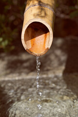 water dripping out of a bamboo reed into fountain in the full sun.