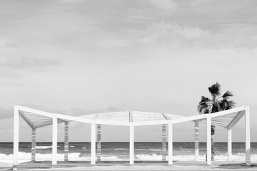black and white beach canopy