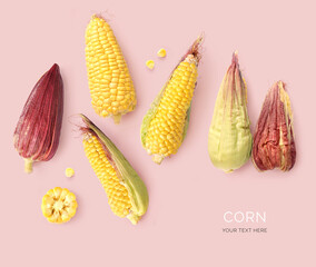 Creative layout made of corn on the pink background. Flat lay. Food concept. Macro  concept.