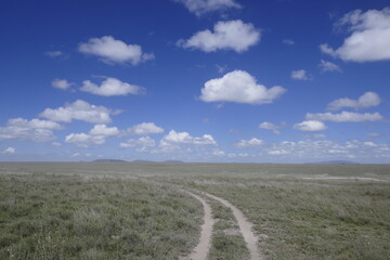 Fototapeta premium Grassland landscape in the Serengeti