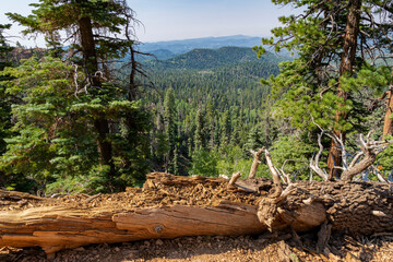 Hiking the scenic Strawberry Point waterfall trail in Utah.
