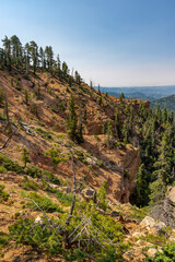 Hiking the scenic Strawberry Point waterfall trail in Utah.
