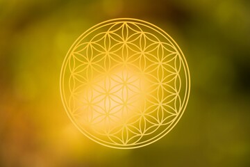 flower of life on atmospheric background