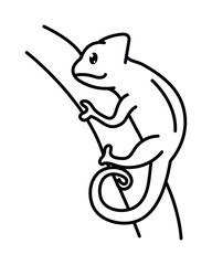 chameleon animal coloring