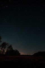 Starry sky, the edge of a pine forest, morning light makes its way through the trees