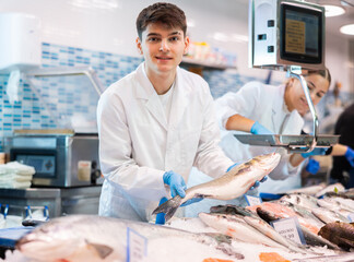 Male seller in apron standing near counter offering fresh fish hake to the buyer