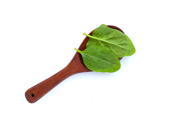 Spinach leaves. Extremely nutrient-rich vegetable