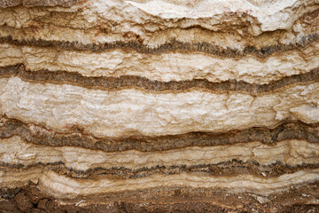 Layers of salt from Dead Sea on shore, Jordan and Israel