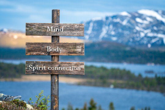 mind body spirit connection text quote on wooden signpost outdoors in nature during blue hour.