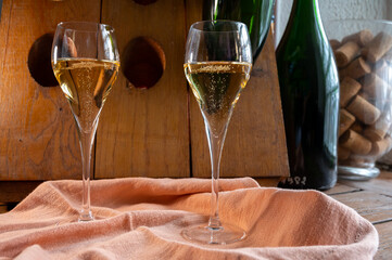Glasses of sparkling white wine champagne or cava with bubbles and classic wooden champagne pupitre rack with empty bottles on background