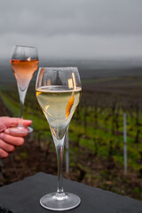 Tasting of brut champagne sparkling wine outdoor with view on pinot noir gran cru vineyards of famous champagne houses in Montagne de Reims near Verzenay, Champagne, France