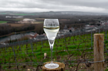 Tasting of brut champagne sparkling wine with view on hilly pinot noir gran cru vineyards of famous champagne houses near Ay and Marne river in winter, Champagne, France