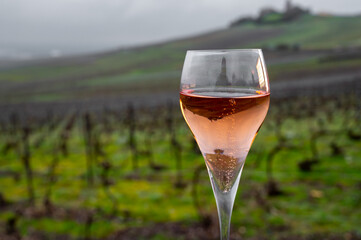 Tasting of brut champagne sparkling wine outdoor with view on pinot noir gran cru vineyards of famous champagne houses in Montagne de Reims near Verzenay, Champagne, France