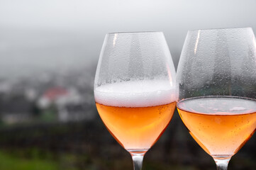 Tasting of premier cru sparkling rose wine with bubbles champagne outdoor with view on hilly pinot meunier vineyards in Hautvillers in February, near Epernay, France.