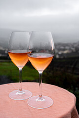 Tasting of premier cru sparkling rose wine with bubbles champagne outdoor with view on hilly pinot meunier vineyards in Hautvillers in February, near Epernay, France.