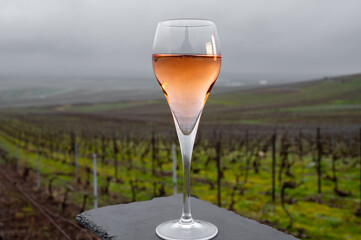 Tasting of brut champagne sparkling wine outdoor with view on pinot noir gran cru vineyards of...