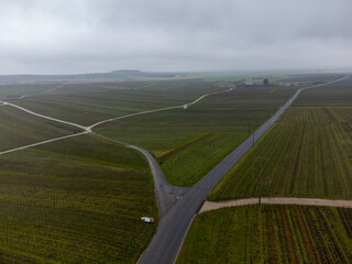 Aerial panoramic winter view on cloudy landscape, vineyards near Ludes premier cru champagne...