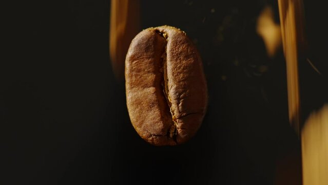Coffee beans piece  fly isolated on black background