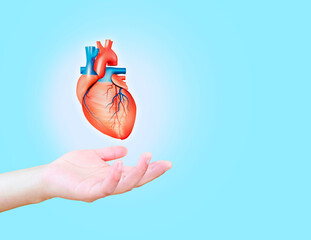 Heart attack, human heart isolated on light blue background. cardiology and medical care for heart...