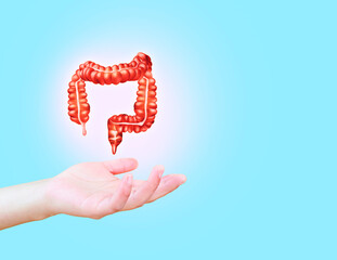 Isolated large intestine. Doctor's hand on light blue background. Colon cancer, bacteria, virus in...