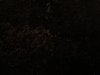 Wallpaper black background with gold accent