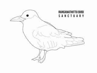 Hand drawn bird. Ranganathittu Bird Sanctuary linear style isolated on white background. Animal vector illustration