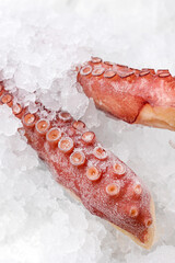 frozen seafood in a fish shop
