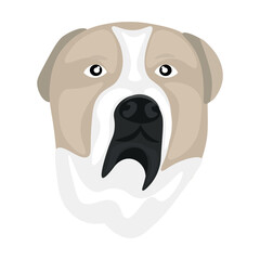 Head of funny dog on white background