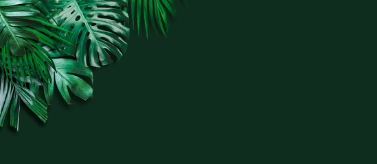 Tropical leaves banner on green background with copy space