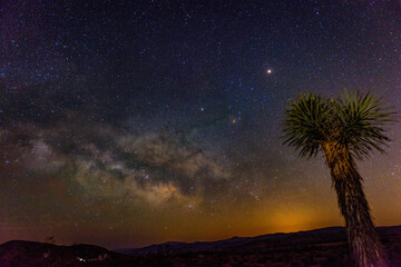 The Milky Way's galactic core as seen from Joshua Tree National Park in California