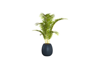 Green Plant 3d render