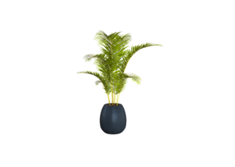 Green Plant 3d render