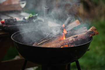 The smoking brazier of a round form. Firewood flares up in the brazier against the background of green grass. The concept of picnic, relaxation, grilling.