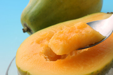 パパイヤ　　 スタジオ撮影