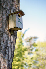 Homemade bird nesting box hangs on a tree in spring green background. Vertical image with bokeh background.
