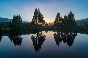 Ancient Pencil Pines beside a small mountain lake in the Cradle Mountain area of Tasmania
