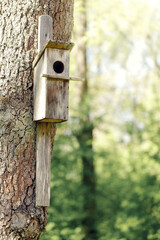 Nesting box or birdhouse on the tree in the park.