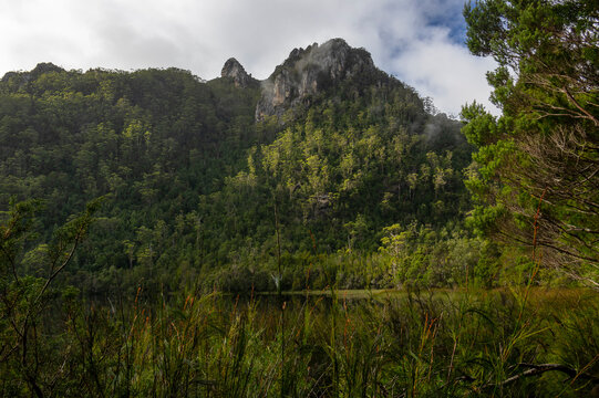 Lake Vera O The Track To Frenchmans Cap In The Tasmanian Wilderness World Heritage Area