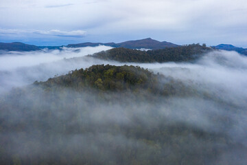 Fog and mist surround the rainforest near Mt Donaldson in Tasmania's Tarkine