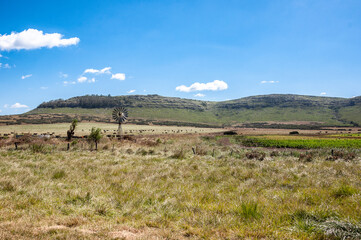 View of a field with cows in the Argentine Pampa with a hill and the sky with white clouds as a background and a windmill.	