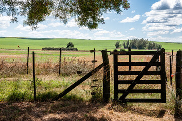 Fototapeta na wymiar View of the field in the Argentine Pampa with a gate in the shade of a tree and the blue sky with white clouds.