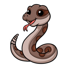 Fototapeta premium Cute rattlesnake cartoon on white background