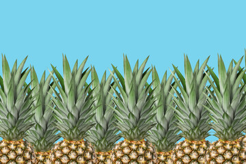 Obraz premium Pineapple background. Blue background and fresh pineapples. Top part. Concept.
